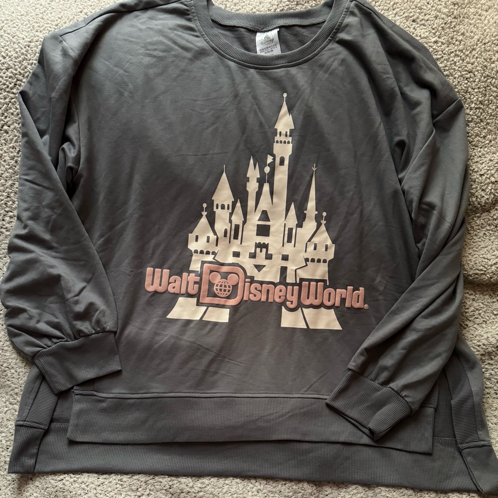 Disney Walt Disney World Gray Sweatshirt With Castle Graphic